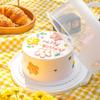 Cabilock 10-inch White Reusable Cake Storage Box with Lid and Handle Pastry Box for Birthday Dessert Carrier view 2
