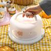 Cabilock 10-inch White Reusable Cake Storage Box with Lid and Handle Pastry Box for Birthday Dessert Carrier view 3