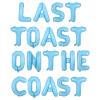 Wonmelody Coastal Bachelorette Party Decorations Last Toast on the Coast Banner Blue Nautical Nautical Bridal Shower Decorations Light Blue Balloon for Coastal Bridal Shower Engagement Wedding Party view 1