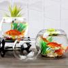 IMIKEYA Glass Bubble Bowl Bowl Glass Vase Clear Bubble Planter Terrarium Fish Bowl Wide Mouth Flower Vase Hydroponic Planter Candy Dish Fruit Jar for Wedding Home Decor 15cm view 2