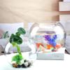 IMIKEYA Glass Bubble Bowl Bowl Glass Vase Clear Bubble Planter Terrarium Fish Bowl Wide Mouth Flower Vase Hydroponic Planter Candy Dish Fruit Jar for Wedding Home Decor 15cm view 3