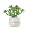 DEMDACO Loved Just Because Artificial White 2 x 1.5 Stoneware Mini Succulent view 2