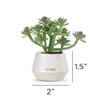 DEMDACO Loved Just Because Artificial White 2 x 1.5 Stoneware Mini Succulent view 3