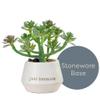 DEMDACO Loved Just Because Artificial White 2 x 1.5 Stoneware Mini Succulent view 4