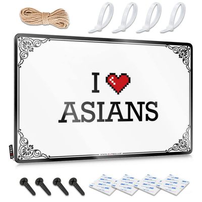 Funny Bar Signs for Home Bar I Love Asians Tin Sign Signs for Room Cool Stuff for Your Room (Color : Colour, Size : 20X30CM)