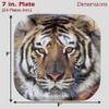 Havercamp Tiger Theme Party Pack for 24 Guests! Photo-Realistic Tiger Supplies for a Roaring Good Birthday, Football, or any Big Cat Event! Includes 24 Dinner Plates & 24 Side Plates view 4