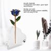 VBESTLIFE Rose Transparent Display Stand, Heart Shape Transparent Rose Holder, Acrylic Plated Rose Flower Stand for Single Real Rose view 2