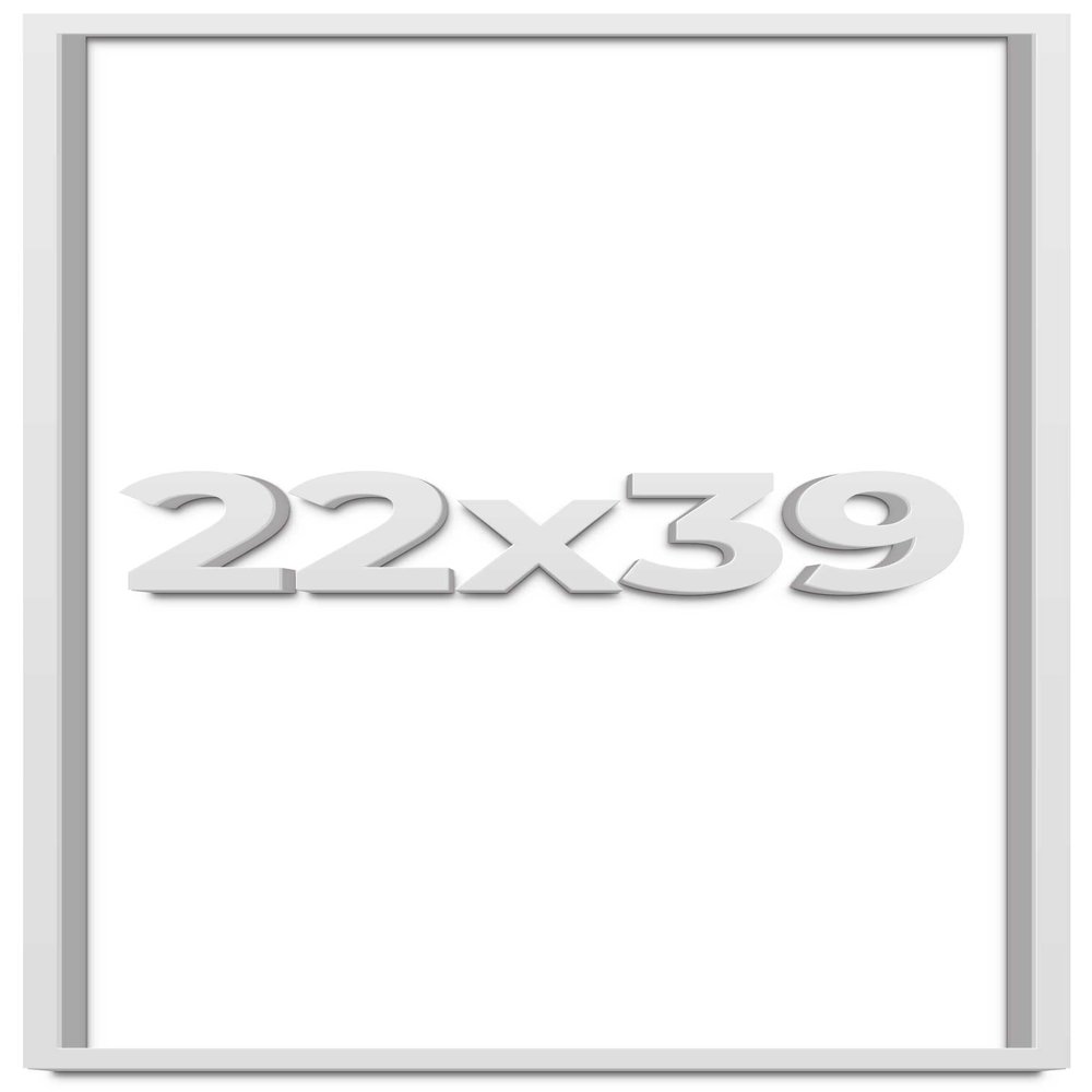 22x39 Shadow Box Frame White | 1 Inches Deep Real Wood Contemporary Shadowbox Display Frame | UV Resistant Acrylic Front, Acid Free Backing, and Hanging Hardware | Lucius Picture Frame Style