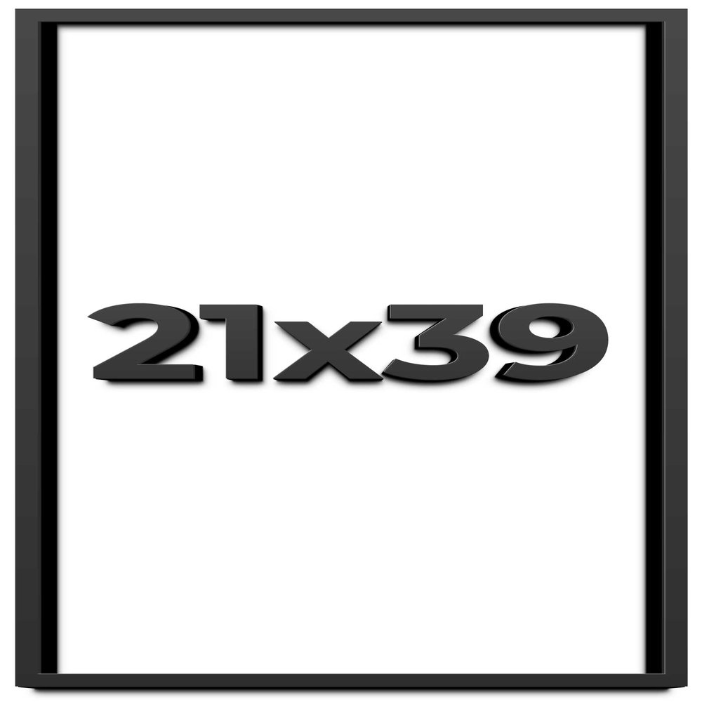 21x39 Shadow Box Frame Black | 2 Inches Deep Shadowbox with 1 3/4 Inch Usable Depth | UV Resistant Acrylic Front, Acid Free Backing, and Hanging Hardware | Whittaker Picture Frame Style