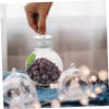 BESTOYARD 10pcs Spherical Bottle Convenient Empty Bottles Ornaments Booze Coffee Bulb Bottle Iridescent Ornaments Balls Fillable Drinks The Pet Milk Powder Juice Travel view 4