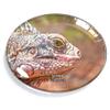 Iguana Venezuela Magnet Fridge Refrigerator Freezer Magnet Sticker Souvenir Decorations Oval Crystal Magnet Kitchen Whiteboard view 1