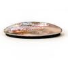 Iguana Venezuela Magnet Fridge Refrigerator Freezer Magnet Sticker Souvenir Decorations Oval Crystal Magnet Kitchen Whiteboard view 2