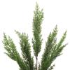 TSYFM 20Inch Artificial Cypress Branches, Faux Branch Artificial Branches, Christmas Cypress Branch, Fake Greenery Cypress Sprigs, Green Cypress Plants for Garden Wedding Home Outdoors Decor(#1) view 2