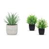 Der Rose Bundle of 1 Pack Fake Succulents Plants and 2 Pack Small Fake Plants for Home Office Desk Bathroom Decor Indoor view 1