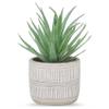 Der Rose Bundle of 1 Pack Fake Succulents Plants and 2 Pack Small Fake Plants for Home Office Desk Bathroom Decor Indoor view 2
