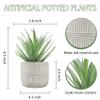 Der Rose Bundle of 1 Pack Fake Succulents Plants and 2 Pack Small Fake Plants for Home Office Desk Bathroom Decor Indoor view 3