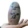 Wonderful Pattern Shiva Lingam Stone from India - Narmadeshwar Narmada River Shiva Genuine Shiva Lingam Stone 4.25" Inch Indian God Idols & Statue Religious Gifts Healing Meditation Stone -I-7043 view 1