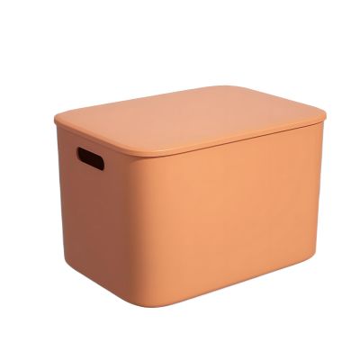 WEAREZ Small Plastic Storage Box With Cover Toys Books Snacks Storage Box Pp Material, Capacity Of About 7 Liters