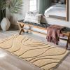 DEXDE Bathroom Rugs Mat, Soft Plush Shaggy Microfiber Bath Rug Non Slip Bath Mats for Bathroom Runner Floor, Machine Washable Absorbent Carpet for Shower Tub, Beige 24"x47" view 2