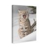 Winter Wildlife Animal Bobcat Lynx Cute Big Cats Playing In Snow Snow Scene So Beautiful Room Aesthetics Posters Canvas Posters Bedroom Decoration Sports Office Decoration Gifts Wall Art Decoration Pr view 1
