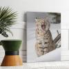 Winter Wildlife Animal Bobcat Lynx Cute Big Cats Playing In Snow Snow Scene So Beautiful Room Aesthetics Posters Canvas Posters Bedroom Decoration Sports Office Decoration Gifts Wall Art Decoration Pr view 3