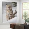 Winter Wildlife Animal Bobcat Lynx Cute Big Cats Playing In Snow Snow Scene So Beautiful Room Aesthetics Posters Canvas Posters Bedroom Decoration Sports Office Decoration Gifts Wall Art Decoration Pr view 4