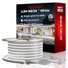 Shine Decor Bundle Products of Power Cord Pack with 6300K White 98.4ft LED Neon Rope Lights Kit view 2