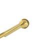 Strom Living Toe Touch Waste and Overflow Tub Drain P0007TE view 2