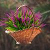 AUMVEYI 12 Bundles Outdoor Artificial Plants Flowers UV Resistant Fake Grass Plants Tropical Faux Bushes Shrubs for Home Front Porch Outside Planter Garden Landscape Dcor view 3