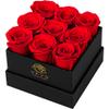 YFYS Forever Flowers for Delivery Prime - 9pcs Preserved Fresh Roses, Genuine Roses That Last for Years, for Birthday Gifts for Women, Valentines Day, and Mother's Day (Red) view 1