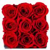 YFYS Forever Flowers for Delivery Prime - 9pcs Preserved Fresh Roses, Genuine Roses That Last for Years, for Birthday Gifts for Women, Valentines Day, and Mother's Day (Red) view 3