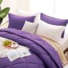 RIANBHI Queen Size Comforter Set 500 GSM Diamond Pattern Down Alternative 1000 Series Egg Plant 3 Piece (Comforter + 2 Pillowcases) Microfiber Bedding Comforter Sets with Corner Tabs view 4
