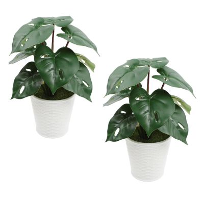 ACOOH 2 Pcs 9.8''Artificial Potted Plant,Small Fake Monstera Plant Plastic Faux Desk Table Plant for Home Decor Indoor for Party Wedding Table Shelf Home Office Indoor Outdoor Decor