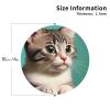 A Curious cat This Leather Coaster is Suitable for use in Restaurants, Kitchens, Offices, etc. view 3