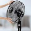 ZUMAHA Vertical 3 Speed Setting Floor Fan, Adjustable Height and Tilt Standing Fan, 70 Oscillating Pedestal Fan High 135CM Adjustable view 4