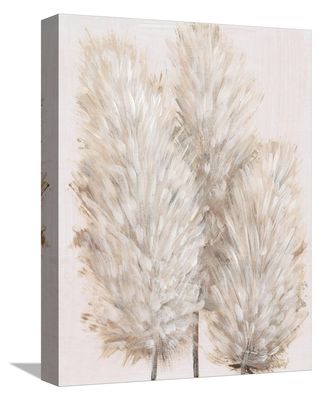 ART.COM Canvas Wall Art Prints Pampas Grass IV by Tim OToole, Botanical Decor, 12" x 16"