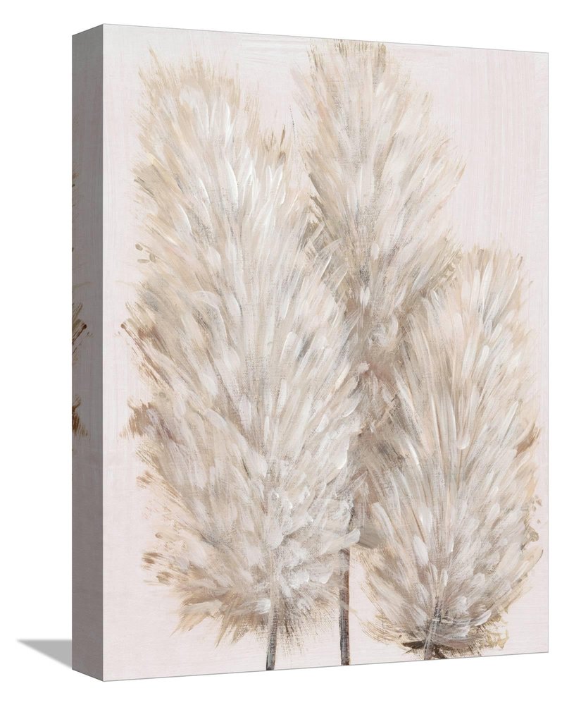 ART.COM Canvas Wall Art Prints Pampas Grass IV by Tim OToole, Botanical Decor, 12" x 16"