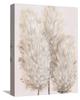 ART.COM Canvas Wall Art Prints Pampas Grass IV by Tim OToole, Botanical Decor, 12" x 16" view 1