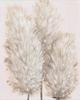 ART.COM Canvas Wall Art Prints Pampas Grass IV by Tim OToole, Botanical Decor, 12" x 16" view 2