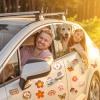 25 Pieces Hippie Car Flower Magnet Groovy Boho Flower Refrigerator Magnets Retro Magnetic Hippie Fridge Magnets for Car Home Metal Door Whiteboard Mailbox Office Cabinets Decor view 4