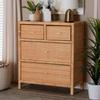 Baxton Studio Vaere Natural Brown Rattan and Mahogany Wood Storage Cabinet view 2