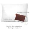 Pipsqueak Pillow - Small, Mini, Tiny - 11 x 7 in - Perfect for Travel, Cars, Airplanes, Camping, Dogs, Toddlers, Kids, Lumbar, Knees and Neck - Ages 2 Yrs and Up view 4