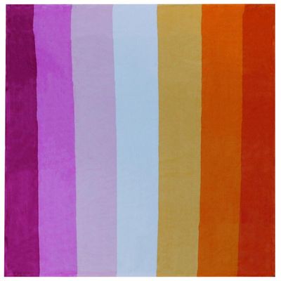 50x60 50"x60" Soft Plush Fleece Blanket Throw (Lesbian (Sunset) Pride LBGTQ)
