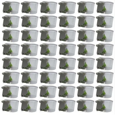 X-Large Bottle Lox for Patron & 1800 Bottles (Pack of 48) Durable Anti-Theft Locks for Liquor & Beverage Bottles (Magnet Not Included)