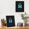 Real Butterfly Framed Butterfly Taxidermy - Butterfly Shadow Box, Taxidermy Animals for Oddities and Curiosities Gifts (L_Ulysses Butterfly Black Background #1) view 2