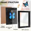 Real Butterfly Framed Butterfly Taxidermy - Butterfly Shadow Box, Taxidermy Animals for Oddities and Curiosities Gifts (L_Ulysses Butterfly Black Background #1) view 4