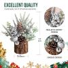 hatisan Small Christmas Tree,Artificial Christmas Tree with Christmas Ornaments Pine Cone Berry,Tabletop Christmas tree for Christmas Decorations Home Room Party Winter Indoor Outdoor (Silver-Round) view 4