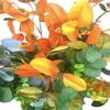Flower Bee Floral Supply Artificial Eucalyptus 26 Inch Greenery Foilage Bush X15 Stems (5 Stems with 3 Branches per Stem) Vibrant Rich Real~Look Choose Colors (1, ORG/GRN/YEL) view 2