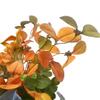Flower Bee Floral Supply Artificial Eucalyptus 26 Inch Greenery Foilage Bush X15 Stems (5 Stems with 3 Branches per Stem) Vibrant Rich Real~Look Choose Colors (1, ORG/GRN/YEL) view 4