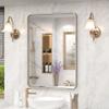 20x30 Inch Brushed Nickel Bathroom Mirror, Brushed Silver Metal Framed Wall Mirror, Rounded Corner Rectangle Modern Vanity Mirror, Tempered Glass, Anti-Rust, Shatterproof (Horizontal/Vertical) view 1